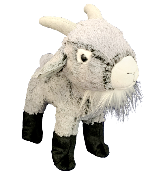 CRAFT-A-CRITTER WORKSHOP