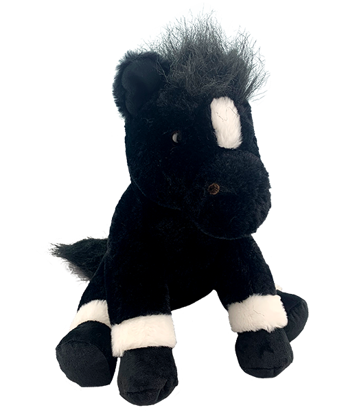 CRAFT-A-CRITTER WORKSHOP
