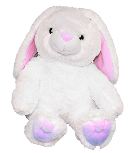 CRAFT-A-CRITTER WORKSHOP