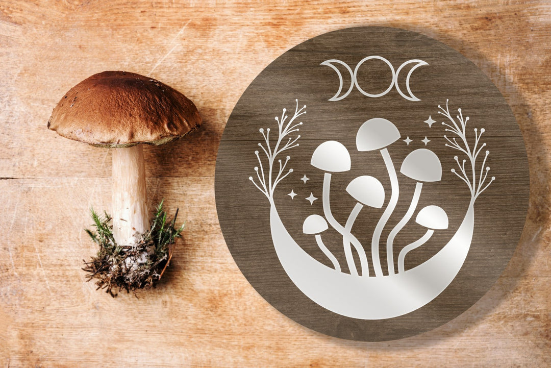 MUSHROOM MAGIC WORKSHOP